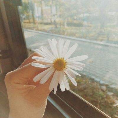 Kaiyun·开云体育app下载截图