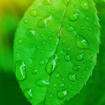 皇冠·app(中国)下载官方版截图